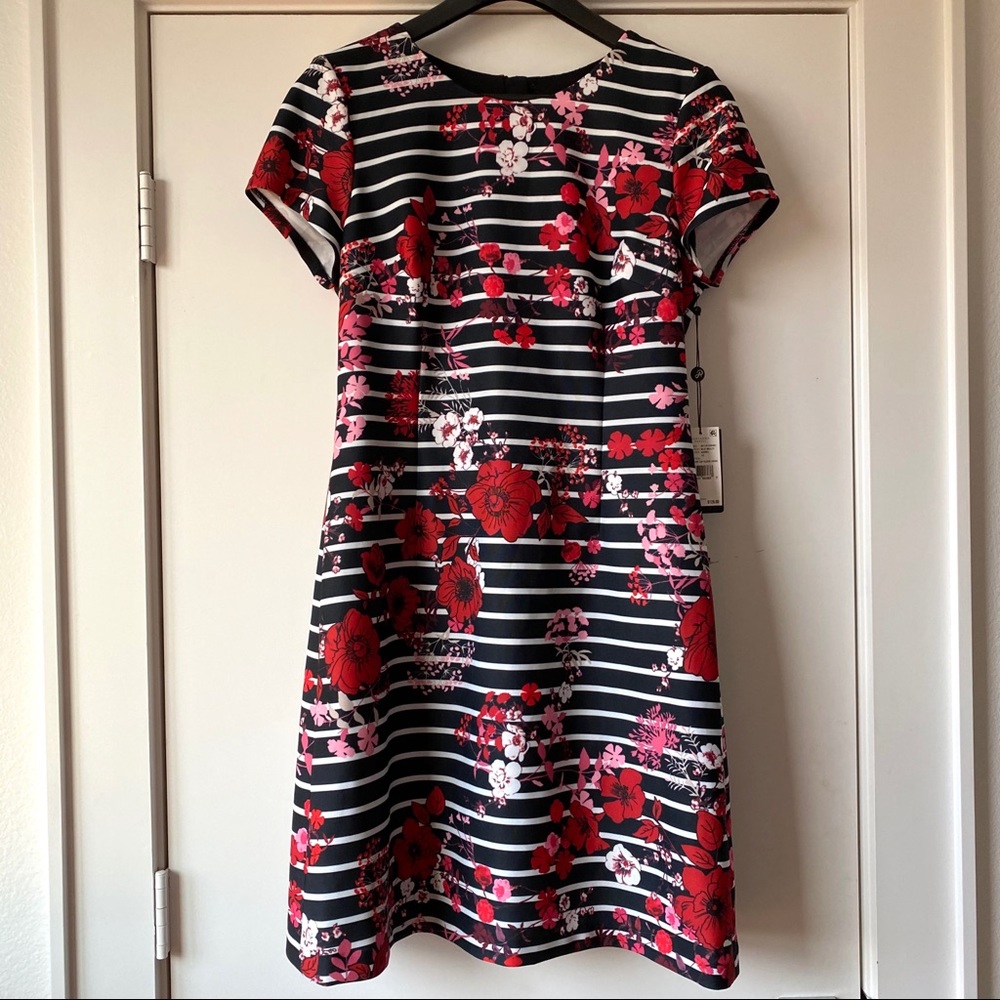 Adrianna Papell Floral Striped A-Line Dress
